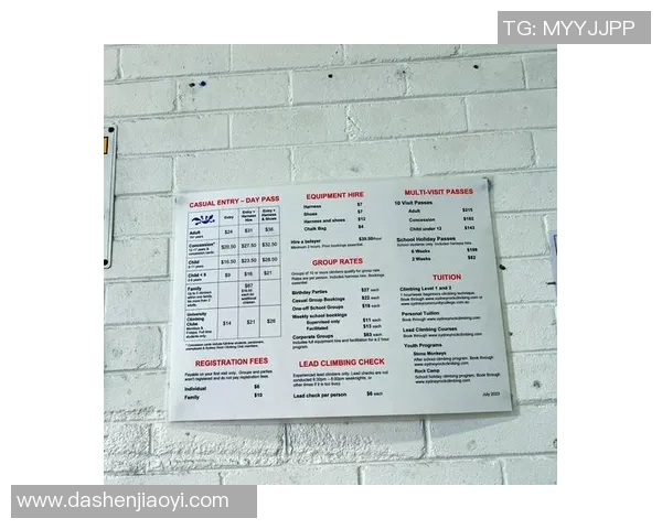 攀岩新手必看：全面提升个人能力的入门指南与技巧分享